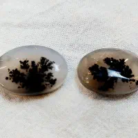 سنگ شجر|کلکسیون اشیاء عتیقه|تهران, جوادیه تهرانپارس|دیوار