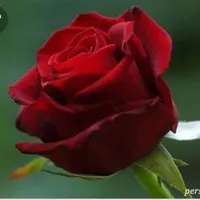 آموزش حسابداری