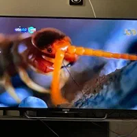 تلویزیون ال ای دی ، سوتی تصویری