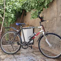 دوچرخه ۲۶|دوچرخه، اسکیت، اسکوتر|تربتحیدریه, سرمحله|دیوار