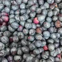 قلنگ نرمه تازه