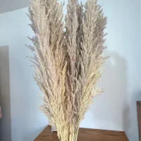 گل پامپاس|گل مصنوعی|اراک, |دیوار