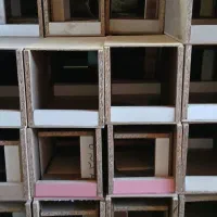 لانه فروشی پرنده|لوازم جانبی حیوانات|گنبد کاووس, |دیوار