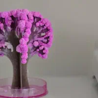 ماکت جادویی درخت|مجسمه، تندیس، ماکت|اصفهان, خواجو|دیوار