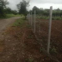 مرغداری ۲۰۰۰قطعه ای با مجوز|فروش دفتر صنعتی، کشاورزی، تجاری|لاهیجان, کوی آزادگان|دیوار