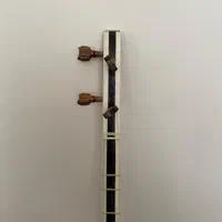 سه تار کریمی|سازهای سنتی|تهران, چیذر|دیوار