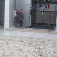 هم خونه فقط و فقط خانم کارمند یا دانشجو