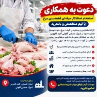 استخدام استادکار قطعه‌بندی مرغ یا تیم حرفه ای