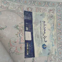 فرش ۱۲ متری ۱۰۰۰شانه|فرش|رشت, باهنر|دیوار