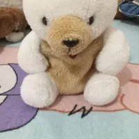 عروسک|اسباب‌بازی بچه|زاهدان, |دیوار