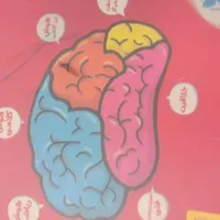 تدریس خصوصی