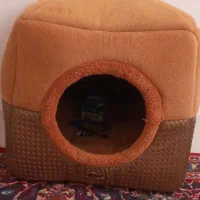 خانه ی گربه نو