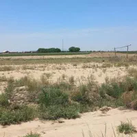 زمین ۵۰۰متری باغی ک نزدیک خیابان اصلیه|فروش زمین و ملک کلنگی|جوادآباد, |دیوار