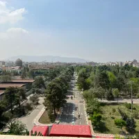 علامه-شمالی