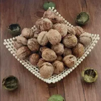 فروش گردوی گاذغی