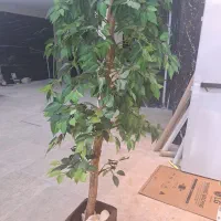 گل و گلدان|گل مصنوعی|کرمانشاه, |دیوار