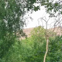 باغ ویلا استان کرمان  فروشی . آبشار راین
