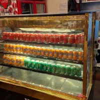 یخچال ویترینی آکواریومی