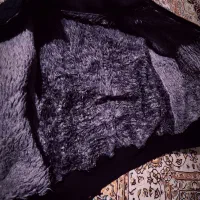 کت و کاپشن|لباس|سنندج, |دیوار