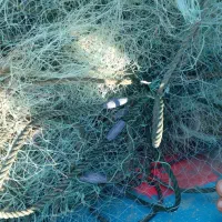 تور ماهیگیری کتی