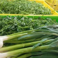 پخش سبزی پاک شده شسته شده