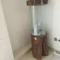 اکواریوم
