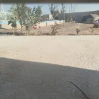 مرغ و خروس وغاز واردک وبوغلمو