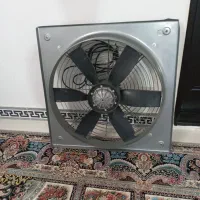 تهویه یا فن برای خشک کردن زرشک