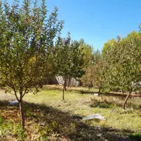 فروش باغ ویلایی|فروش خانه و ویلا|هریس, |دیوار