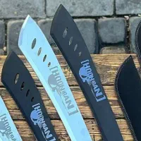 چاقو زنجان|کوهنوردی و کمپینگ|بردسکن, |دیوار