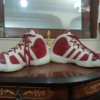 کتونی آدیداس ۵۱|کیف، کفش، کمربند|شمشک, |دیوار