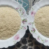 برنج محلی آستانه طارم|خوردنی و آشامیدنی|لاهیجان, امیرشهید|دیوار