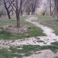 زمین مسکونی