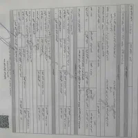 زمین باغی چاهشک باغستان ثامن - فروش ویژه و فوری|فروش زمین و ملک کلنگی|مشهد, چاهشک|دیوار