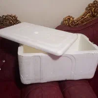 یخچال مسافرتی