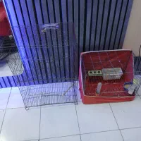 قفس پرنده|لوازم جانبی حیوانات|اهواز, سپیدار|دیوار