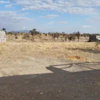 زمین در روستای سرکندیزج|فروش زمین و ملک کلنگی|صوفیان, |دیوار