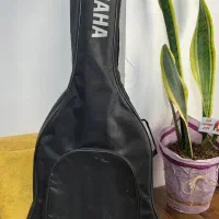 گیتار یاماها آموزشی|گیتار، بیس، امپلیفایر|شیراز, شهرک نیروی انتظامی|دیوار