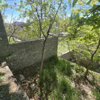 باغچه