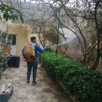 باغبانی گلکاری درخت کاری بیل زدن کوددر تمام نقاط