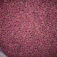 بذر نخود فرنگی پفکی