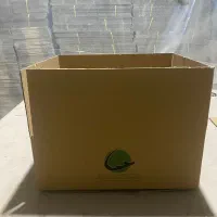 کارتن بزرگ و کوچک نو