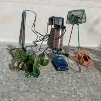 آکواریوم|ماهی|اسفرورین, |دیوار