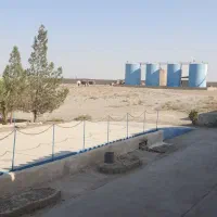 استخدام نگهبان