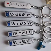 پاسوییچی پلاک ماشین رزینی|بدلیجات|فسا, |دیوار
