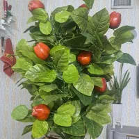 درخت سیب مصنویی