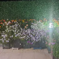 چراغ ال ای دی یکبار مصرفی