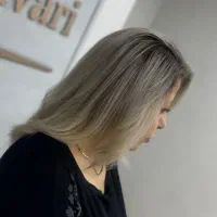 پذیرش مدل رنگ و لایت