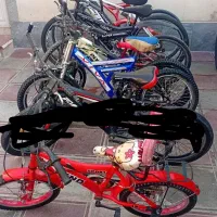 ۵ عدد دوچرخه از سایز ۱۶ تا ۲۶