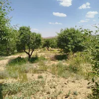 فروش باغ۵۶۰ متری محدوده پل زمانخان روستایی ش|فروش زمین و ملک کلنگی|اصفهان, آزادگان|دیوار